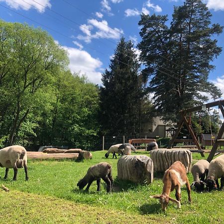 Kamenacka Myslivna Hotel Moravany  Kültér fotó